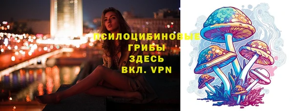 mdpv Кулебаки